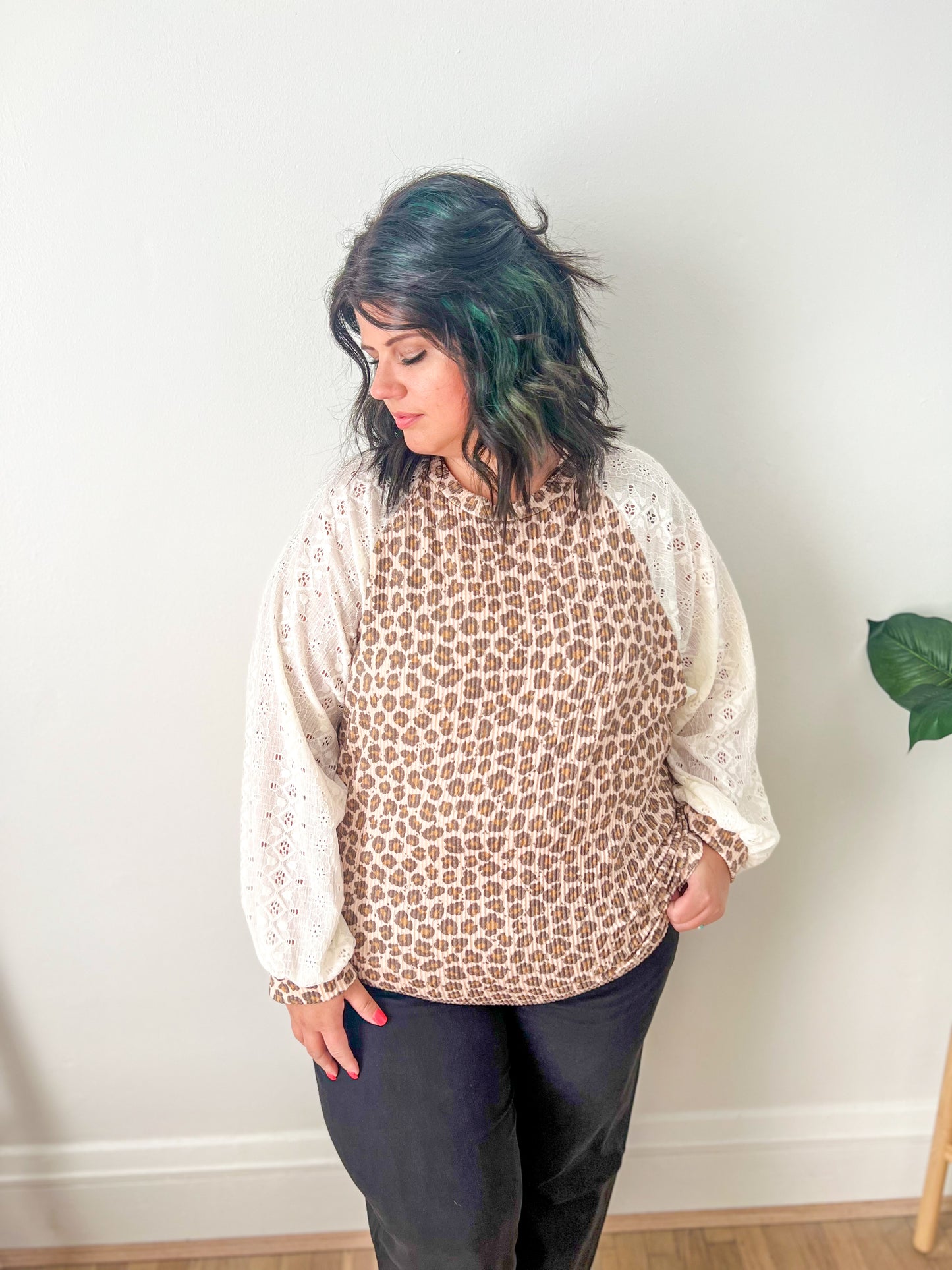 New! Leopard and Lace Top