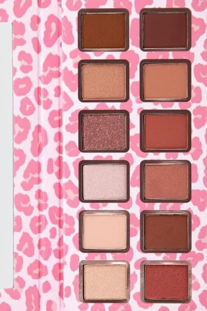 DOORBUSTER Feeling Sassy Eyeshadow Palette